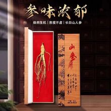 �|���خa���l �L��ɽ߅�l��������ɽ�����񅢎��Y�� �˅�