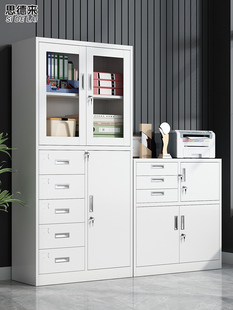 ✅ Financial Voucher Cabinet Iron Cabinet File Cabinet Office Information Cabinet File Storage Lockable Low Cabinet Storage Cabinet