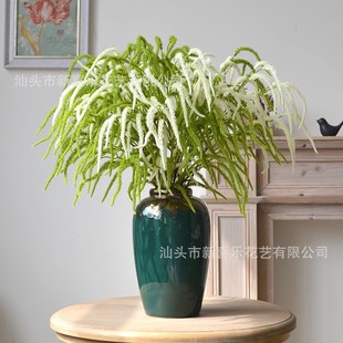 �S�����l�����ָЗ����� �~βާ ëë�x�������д��������ڒ�