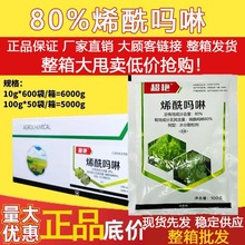 80%ϩ߹S˪ùÄ߲rșl