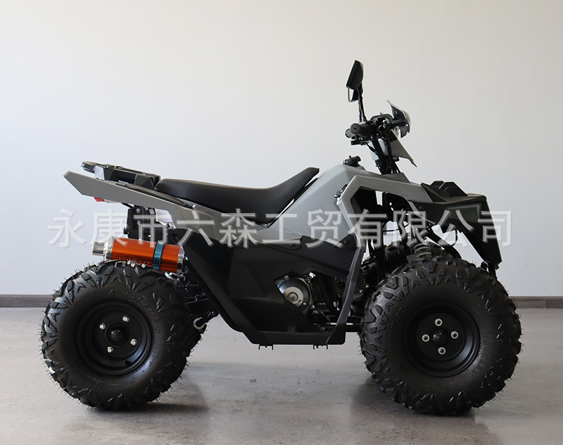 Cross-Border All-Terrain Four-Wheel Off-Road Beach Motorcycle Atv125-150Cc Xiaoba Long Fuel-Powered Electric Vehicle for Children and Adults