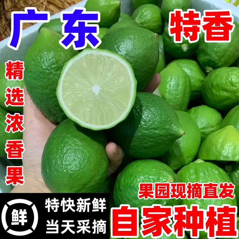 Freshly Picked Seedless Lime from Yangchun, Guangdong, Premium Grade Fruit for Milk Tea Shops, Fragrant and Aromatic