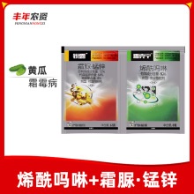 ˪ˌϩJ¶˪i\S˪ù߲Ärș