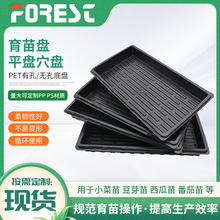 ���l����ѿ����L������ƽ�P��˱P�ϱP����Ӻ�o������ƽ�P