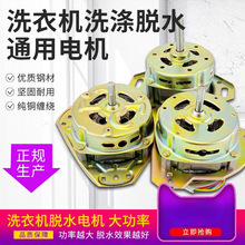 纯铜双桶半全自动洗衣机洗涤排水脱水甩干桶变频马达迷你电垒德株