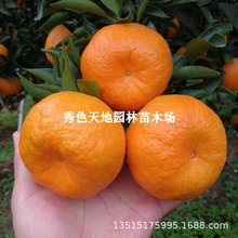 �����۽��������ͥԺ�����������Ә��̨���Լ޽ӽ����箔��Y��