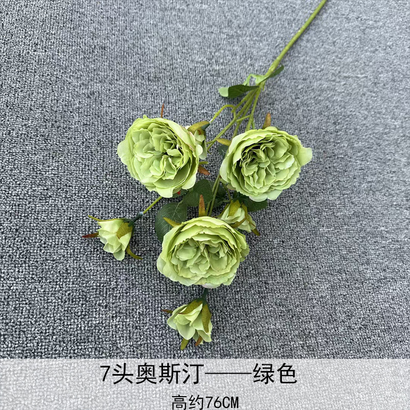 Austin Green de 7 cabezas