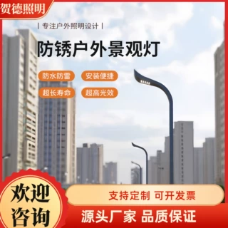 非标定制厂家直供大型景观路灯景观灯路灯市政道路灯主干道玉兰灯