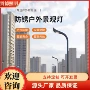 市政定制大型景观玉兰灯