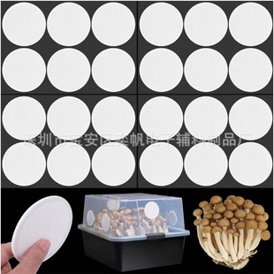 Source Factory Wholesale Mushroom Box Filter Cotton Pad Fiber Cotton Pad, Air Filter Cotton Adhesive Filter Cotton Pad