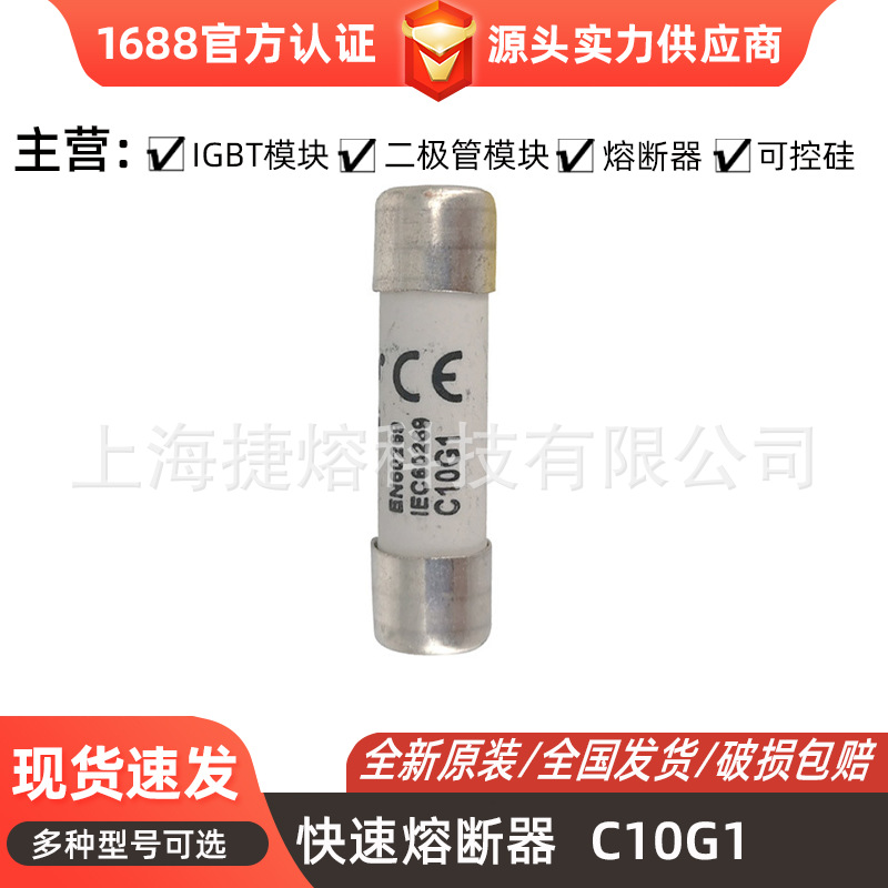 C10G1 低压快速熔断器 圆柱形熔丝 10,3x38mm 电子元器件