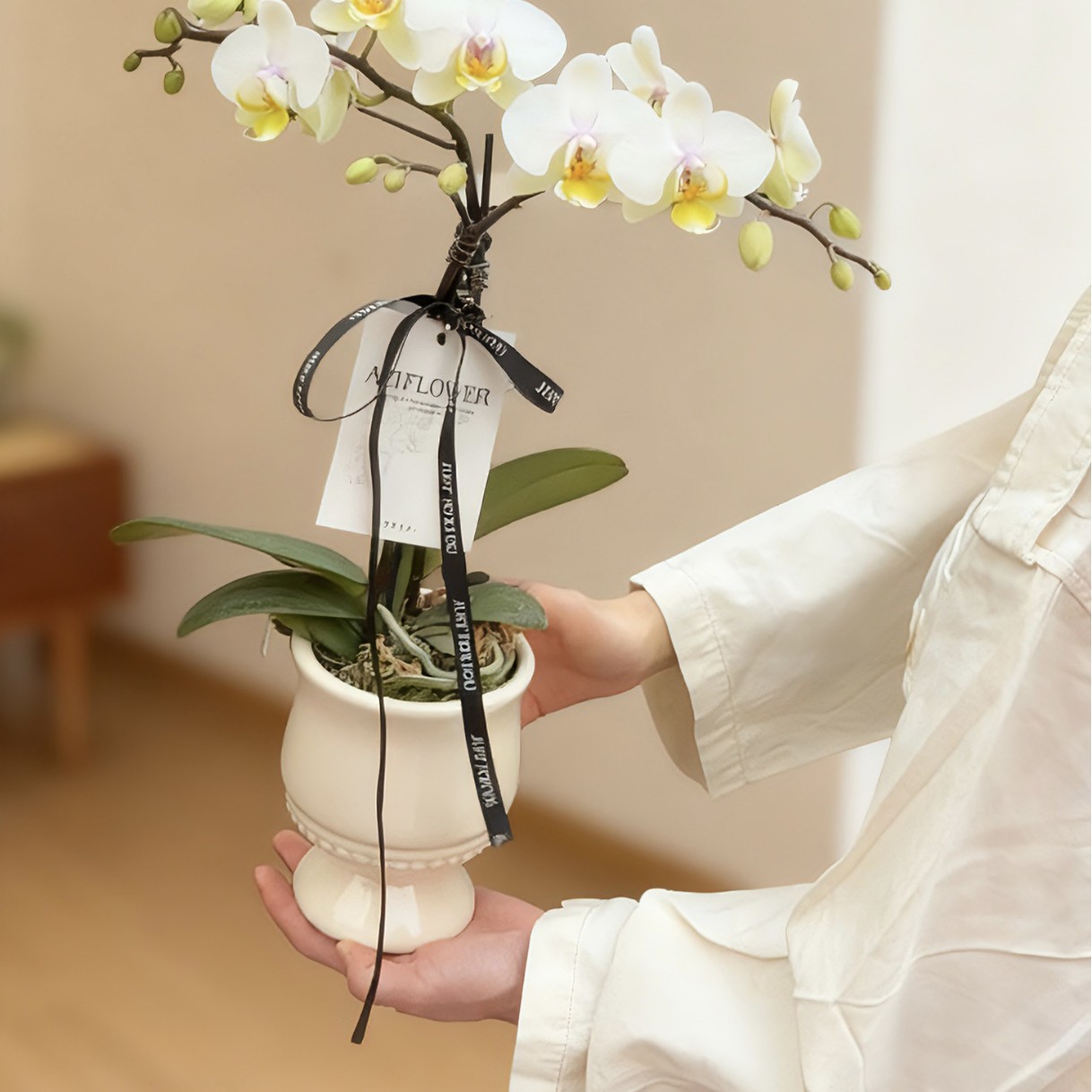 Phalaenopsis Orchid 3.0 Inch Off-White Tall Ceramic Flower Pot Desktop Home Decoration Phalaenopsis Orchid Living Room Dining Table Decorative Flower Vessel
