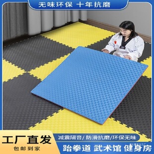 Professional Taekwondo Thickened Training Sanda Dance Fighting Kindergarten Street Dance Martial Arts Foam Mat