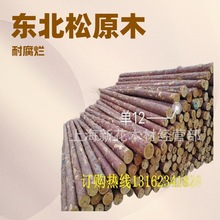 һ~l ~ľlľl |~ԭľl