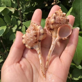 �ľ�з���Ú���Q����ؐ�~���Ú���Ȼ����ؐ���~��ˮ���b�Ʒ�[��