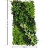 Plant wall lawn 038