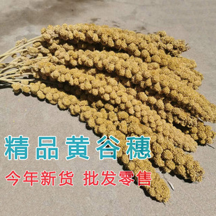 �¹�����Ȼ�����S����С�����W�^�ZС�B��ʳ�}��\�쾰�bzӰ��