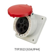 ���� ���I���^ WEIPU IP44���R TYP3923 63A/5о 380V ���bбʽ��
