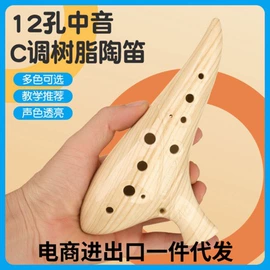吹奏类乐器;乐器配件;拉弦类乐器