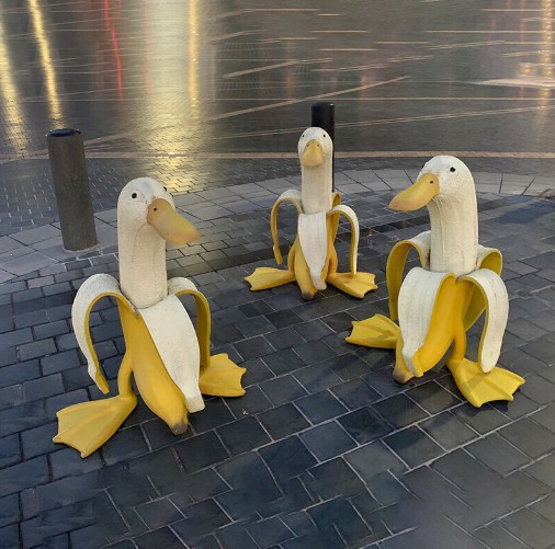 Banana Duck Creative Art-Banana Duck2021 Creative Art Horticultural…