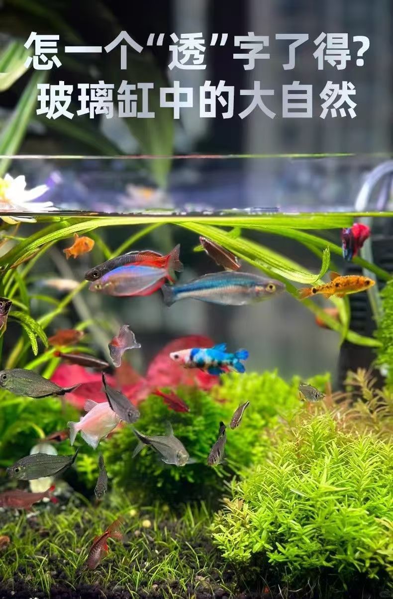 953a078d-b3d0-4463-bc8b-5e0224b7a76a.jpe