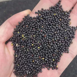 其他药食同源;参类滋补品;脱水蔬菜