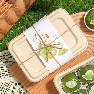 Ins Green Dumpling with Mugwort Dumpling Qingming Fruit Packaging Box Gift Box Decoration Picnic Packed Lunch Box Girdle