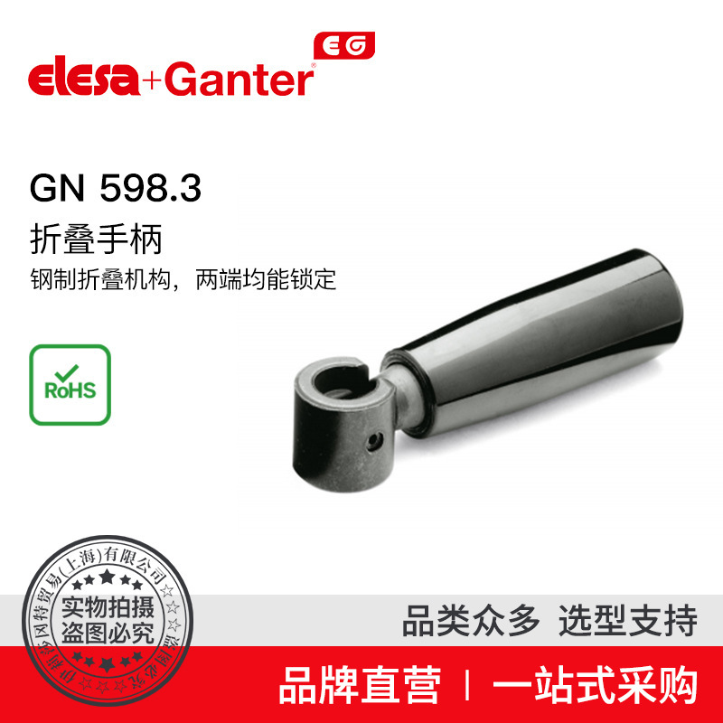 Elesa Ganter伊莉莎冈特 GN598.3 不锈钢两端锁定