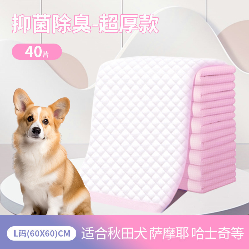 특후 인기 사이즈 L 60x60cm [40개입]