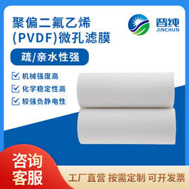 【聚偏氟乙烯pvdf滤膜】疏水性/亲水性 0.1um 微孔除菌 超滤