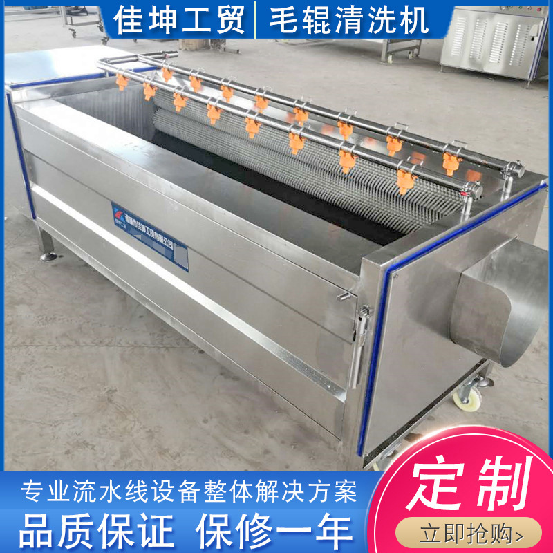 厂家供应 生姜土豆清洗机 毛辊清洗去杂机 根茎类果蔬清洗