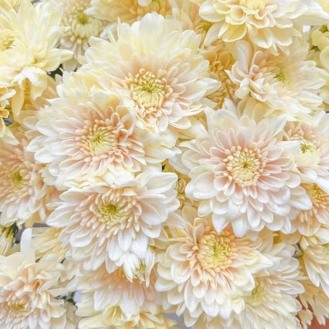 d178c2ff640c6a74218a8fe20cf1b5