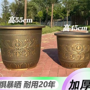 �Ӹߴ������üӺ��֬�����ش�̖�����F��ͥԺ�̨�N���B�ɻ���