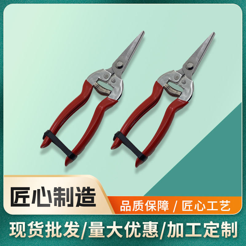 园艺修枝采果剪批发不锈钢果枝剪园林工具嫁接剪花园修枝园艺剪刀