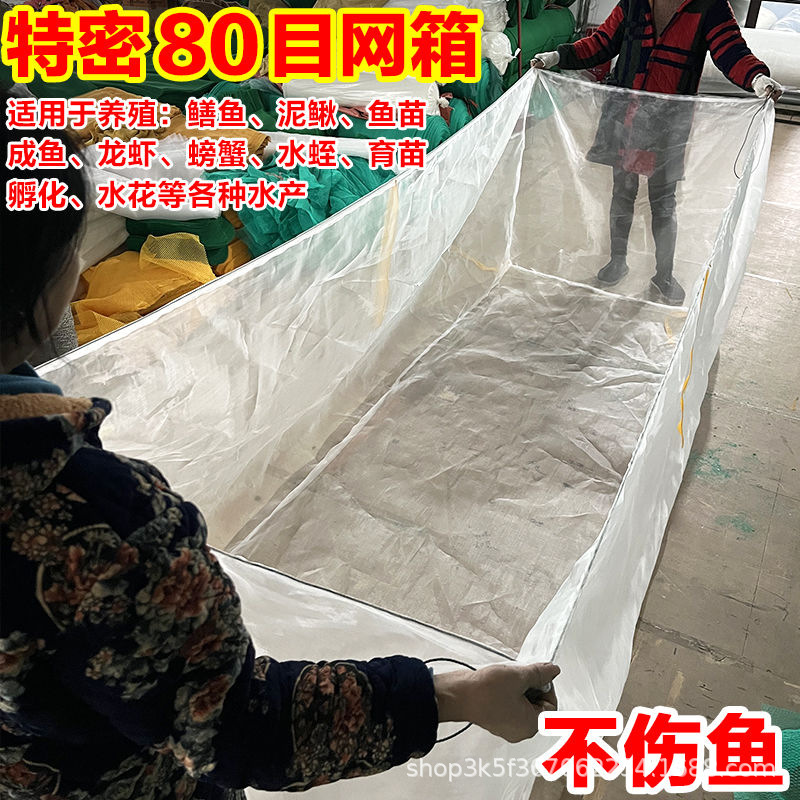 80目养殖网箱养鱼泥鳅水蛭黄鳝鱼苗龙虾幼苗加厚养殖网箱育苗鱼网