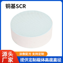 �S���մ��d�w��Ч�����~��SCR�w����׽���Vо��Ԫ�߻�������β��