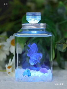 ����ˮĸ������º������������^�p�ÿ��o�ҹ�Д[������