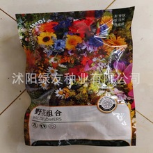 厂家批发彩装种子原装花籽野花组合20多种花种子组合开花景观花海