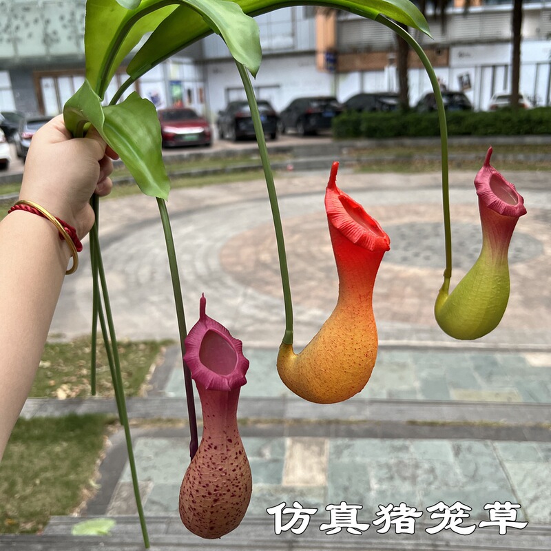 New simulation of Nepenthes foreign trade manufacturers Nepenthes wedding home soft New Year flower fake flower wholesale New simulation of Nepenthes foreign trade manufacturers Nepenthes wedding home soft New Year flower fake flower wholesale
