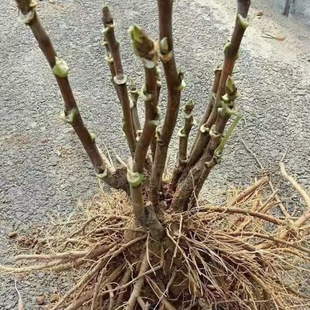���ںʝ�ĵ������ĵ���������Ե����ذ���r��