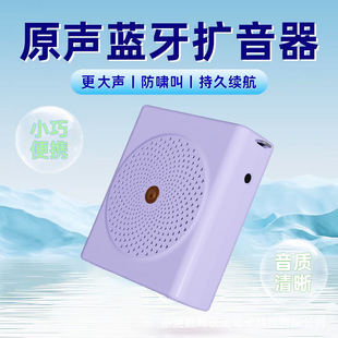 Cross-border private model wireless bluetooth bee megaphone teacher specially pushes tour guide big horn vending machine in class