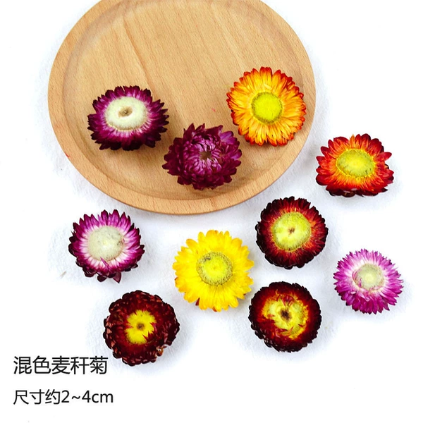 [花色 混色麦秆菊5朵-干花包]