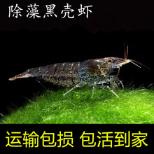 �ښ��r������坍���幤���^�p���r�����r����ϵ�ˮ���쾰
