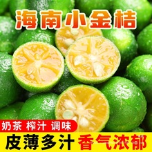 海南小金桔新鲜鲜果柠檬小青柠小青桔金橘5斤奶茶店水果商用