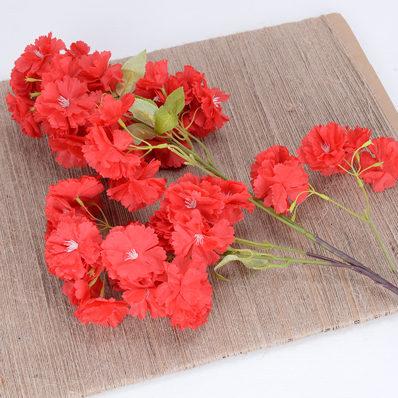 Flor de cerezo colorido rojo
