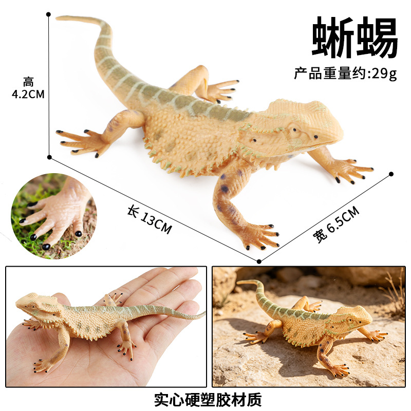 Lagarto