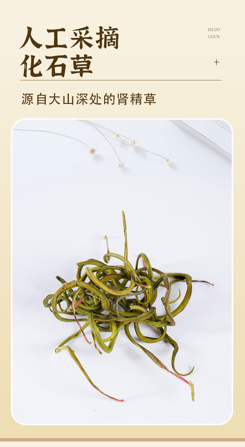 Shen Jing Tea Changbai Mountain Kidney Essence Herbal Tea Cold Brew Flower Tea Bags 50g Canister key features