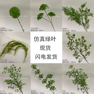 ���滨�~�ӾGֲɭϵ��c���Ñ����ƺ��Y�bƵ깤�����컨�ٻ�