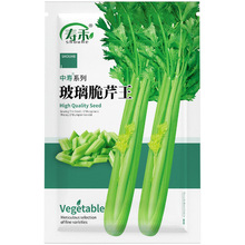 实芹王芹菜种子美国西芹玻璃脆芹阳台冬季四季籽种孑黄心蔬菜种籽