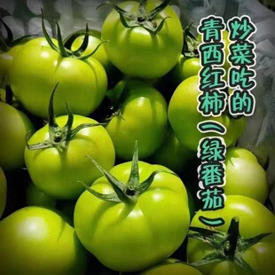 �����䡿����෬�������t�����r�Fժ�����r���߲˾Gɫ���ԷN���l